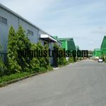 Factory For Lease DN01